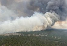 Лесной пожар в ВКО удалось остановить