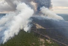 Площадь лесного пожара в ВКО увеличилась в 20 раз