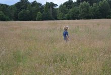 Пропавших детей нашли спящими в поле в Кызылординской области