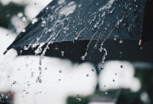 Дожди, грозы и туманы - прогноз погоды по Казахстану на 26 апреля
