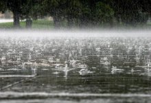 Дожди с грозами ожидаются в ряде регионов Казахстана 27 апреля