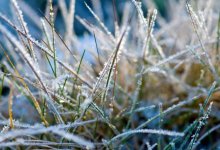 Заморозки, дожди, ветер – прогноз погоды по Казахстану на 1 мая