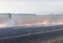 В СКО крестьяне без злого умысла сжигают поля друг друга