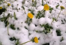 Снег и минусовая температура ожидаются в ряде областей Казахстана 5 мая