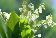 Погода без осадков ожидается на большей части Казахстана 7 мая