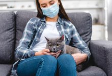 Казахстанцам предлагают поучаствовать в масштабном исследовании об эмоциях во время пандемии