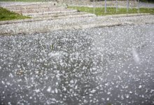 Дожди, град, ветер – прогноз погоды по Казахстану на 11 мая