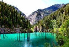 Туристская ассоциация Казахстана представила план по оживлению индустрии отдыха