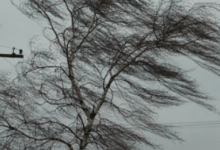 Шквал, туман и дожди с градом – прогноз погоды по Казахстану на 16 мая