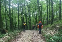 Дети и их отец потерялись в лесу в Карагандинской области