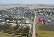 Лов рыбы запретили в подтопленных селах Туркестанской области