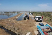 Рыба в сточных водах Мактааральского района непригодна для пищи