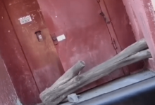 В Темиртау накажут нарушителя, закрывшего карантинный подъезд обычным бревном