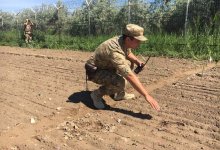 Пограничники КНБ задержали разыскиваемого преступника