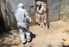 Алматинский филиал Nur Otan продолжает доставлять продукты нуждающимся семьям