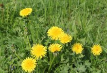 Погода без осадков ожидается на большей части Казахстана 29 мая