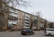 В Петропавловске вырубили здоровые деревья, чтобы посадить новые и освоить бюджетные средства