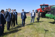 Токаеву доложили о ходе весенне-полевых работ в Казахстане