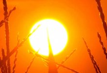 Жара ожидается на большей части Казахстана 31 мая