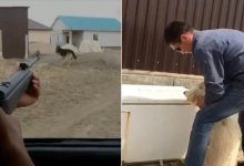 «Испортила рассаду»  – задушивший собаку житель Атырауской области записал видеообращение