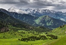 Земли вернем, подстанцию разберем: земли Кок-Жайляу вернут в госсобственность