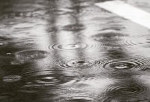 Дожди, грозы, ветер – прогноз погоды по Казахстану на 5 июня