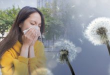 Как казахстанцам пережить аллергию летом. Советы врача
