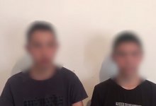 "Сделали это забавы ради" - поджигатели собаки в Алматинской области оказались школьниками