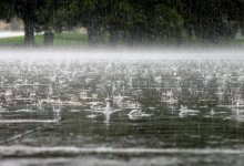 Дожди с грозами ожидаются в ряде регионов Казахстана 7 июня