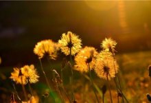 Погода без осадков ожидается на большей части Казахстана 8 июня