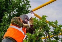 Прокуратура отменила незаконное решение акимата Алматинской области