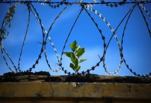 Осужденный сбежал из колонии в Костанае