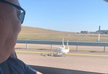 Казахстанец спас семью лебедей от гибели под колесами грузовика на трассе "Нур-Султан - Павлодар"