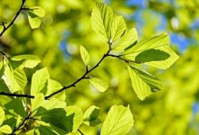 Погода без осадков ожидается на большей части Казахстана 11 июня