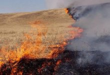 Крупный степной пожар в Карагандинской области тушили 3 дня