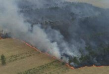 Жара и грозовой разряд: в Павлодарской области бушует лесной пожар