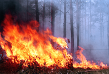 Молнии, сигареты и костры: За сутки в Казахстане произошло 23 пожара