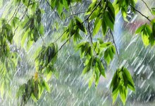 Дожди с грозами ожидаются на большей части Казахстана 17 июня