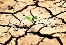 17 июня - Всемирный день борьбы с опустыниванием и засухой
