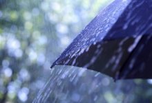 Дожди, ветер, град – прогноз погоды по Казахстану на 19 июня