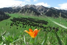 Иле-Алатауский национальный парк закроют на выходные