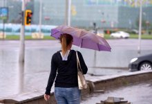 Дожди и шквал ожидаются на севере Казахстана 25 июня