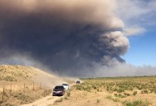 Очистка Арыси от боеприпасов займет еще несколько лет