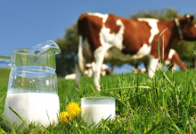 Реформировать молочную отрасль Казахстана предлагают депутаты от Nur Otan