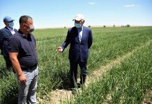 Объединиться ради одной цели