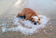 Как спать в жару без кондиционера? Советы врача