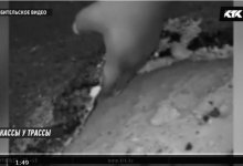 Мангистауские чиновники хотят засудить сельчан за видео о плохих дорогах