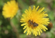 Жарко и без осадков будет на большей части Казахстана 17 июля