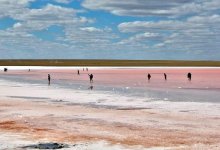 Токаева возмутило повальное бескультурье граждан в местах отдыха на природе