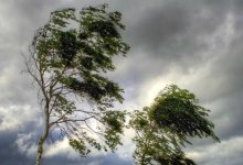 Шквал и град ожидаются на большей части Казахстана 24 июля